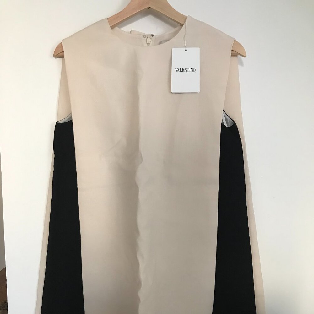 Valentino Dress